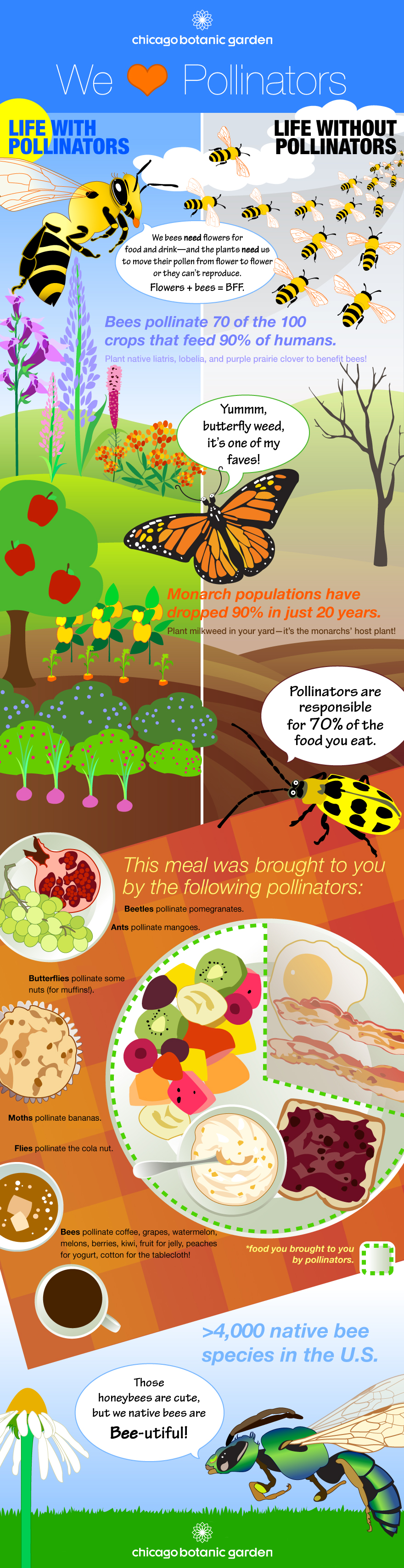 pollinators