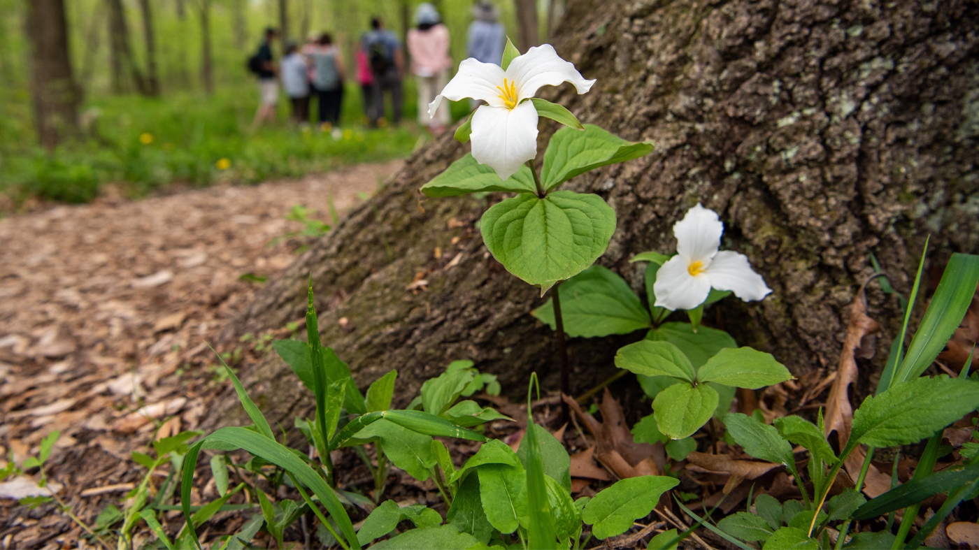 Science Natural Areas