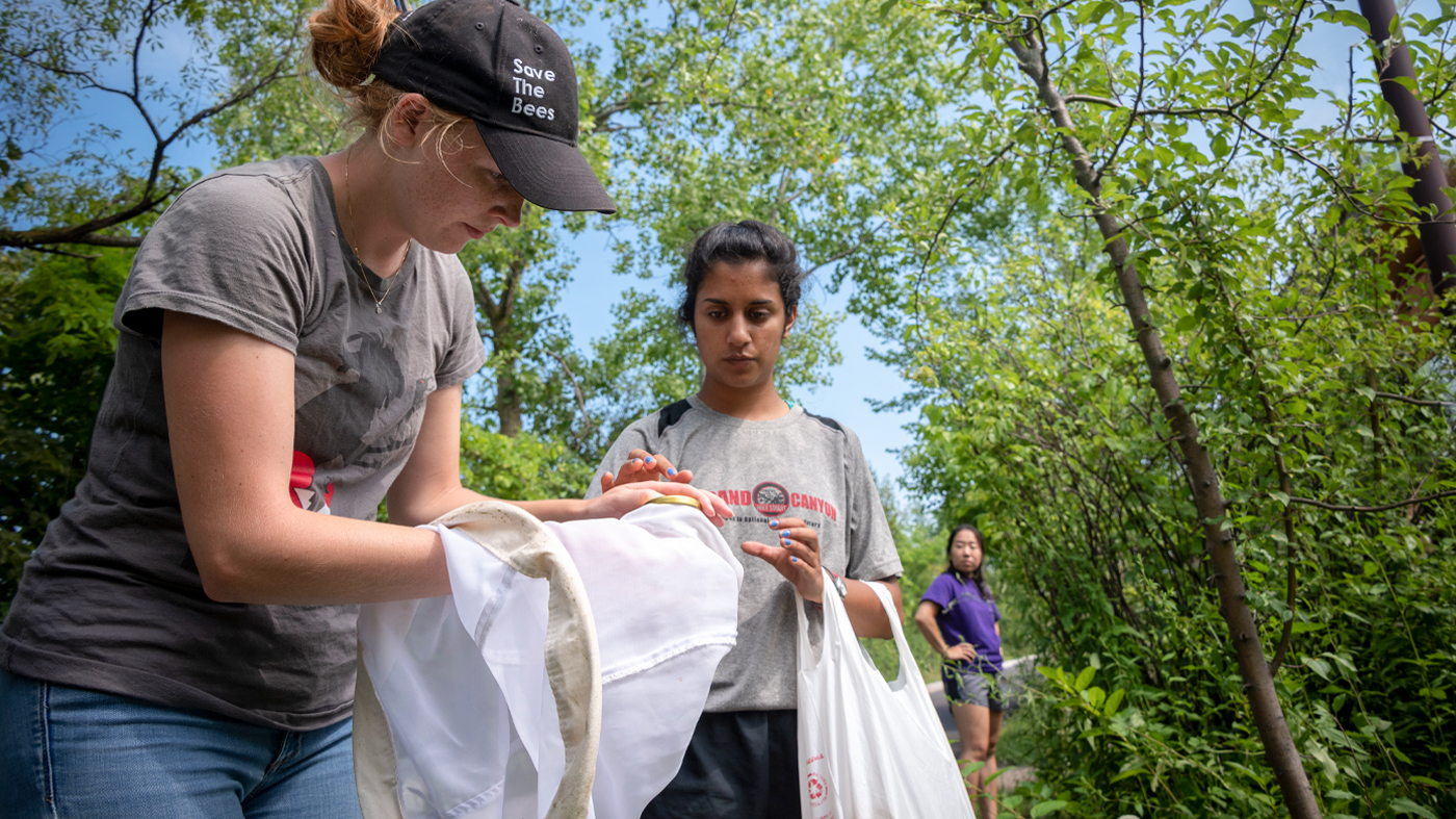 Research and Conservation
