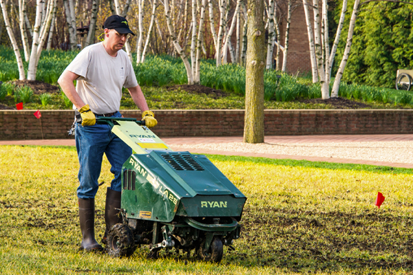 lawn care seed aerating