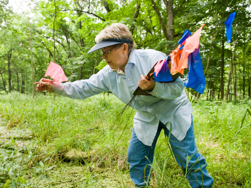 Plants of Concern Volunteer