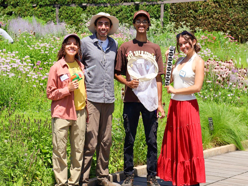 summer science interns