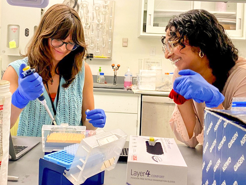 summer science interns