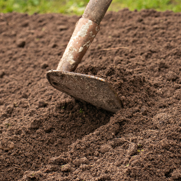 hoe