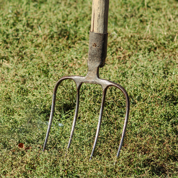 pitch fork