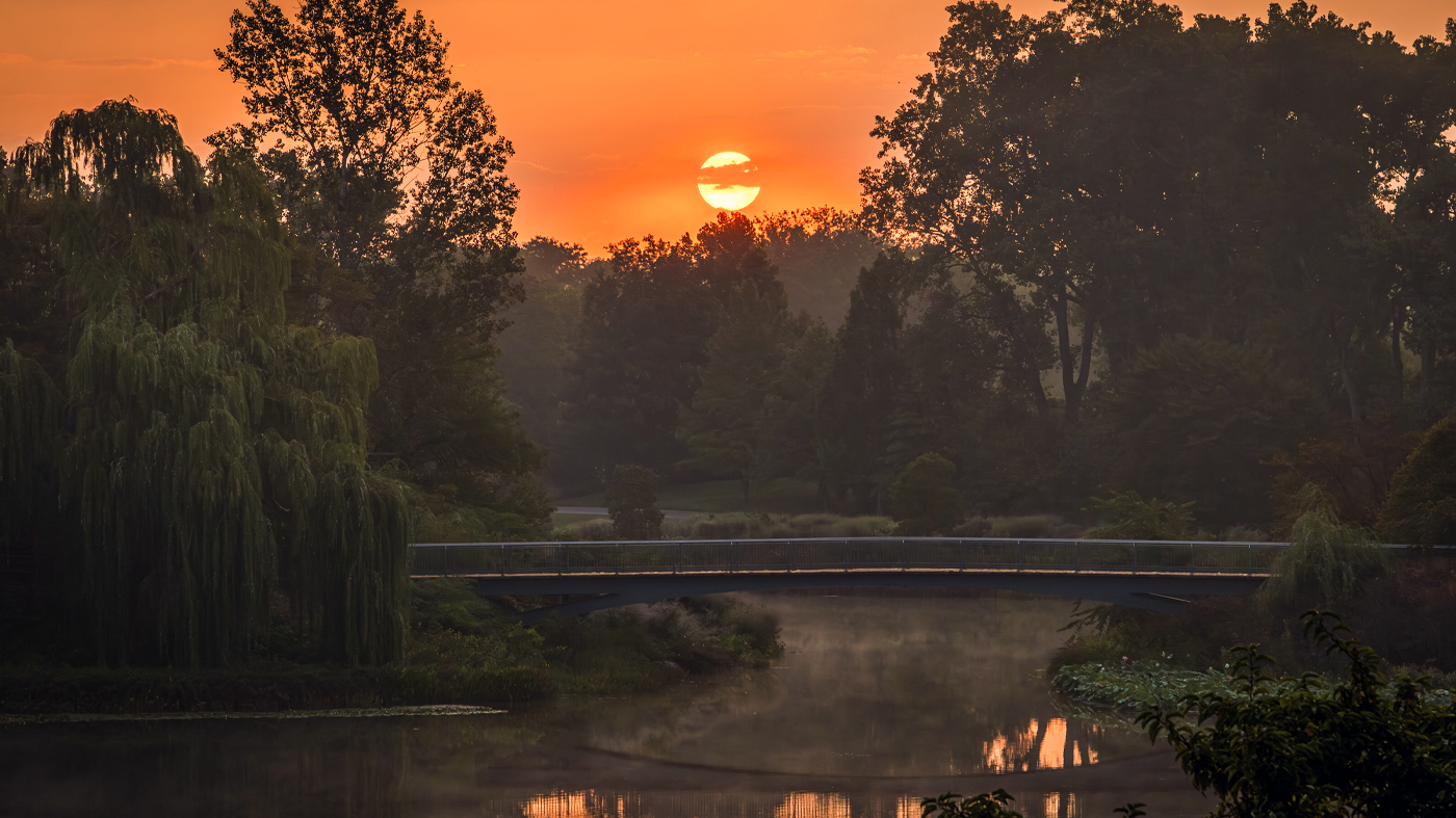 sunrise