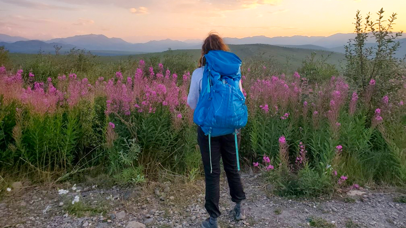 A person with a backpack stands in front of an open area filled with pink flowers with mountains in the background.