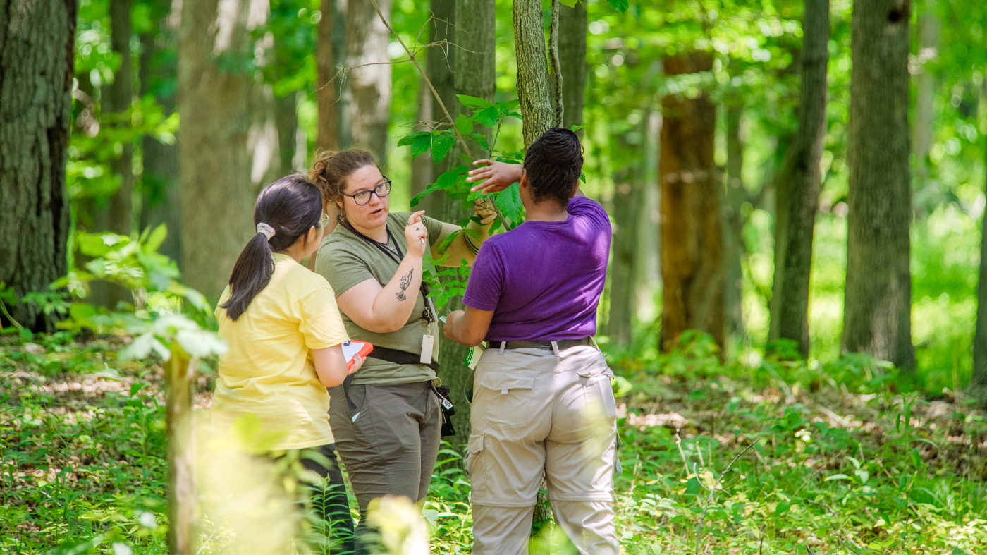 In a forest, three people inspect the branch of a tree, one is recording data on a clipboard.