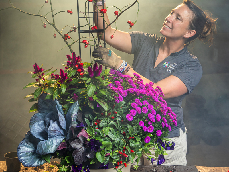 making the fall container