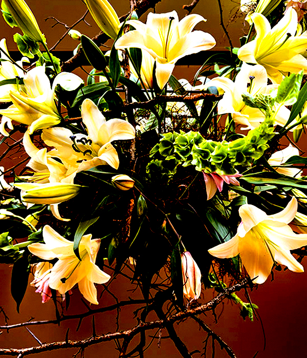  Crossing (hanging), Hawthorne branches, Lilies – fresh cuts