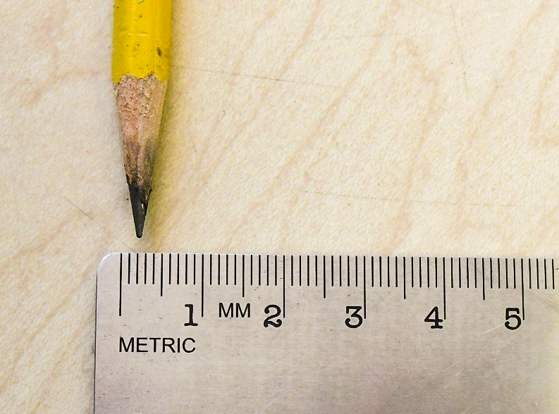 measuring spores