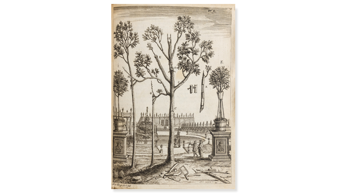 library-book-citriculture