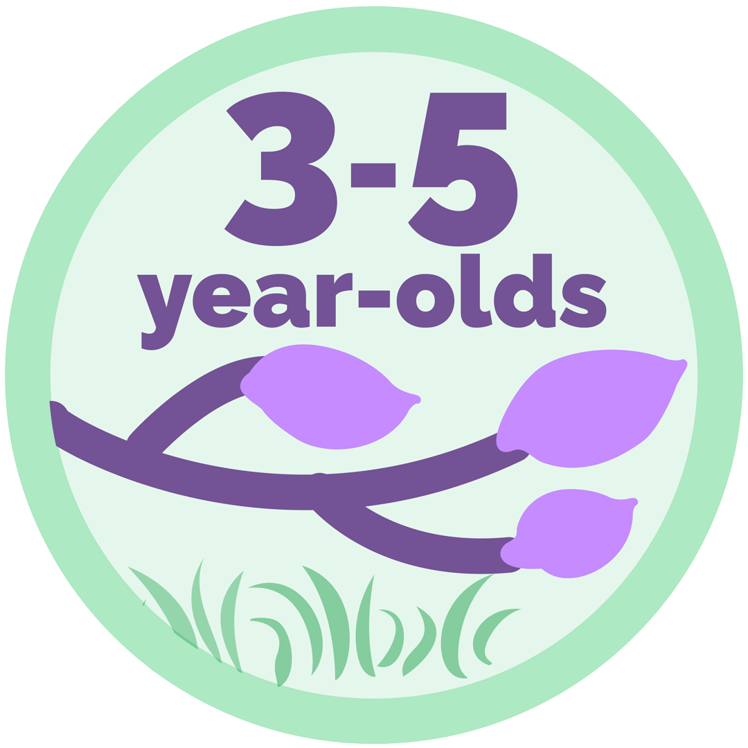 Nature Preschool Stems Class