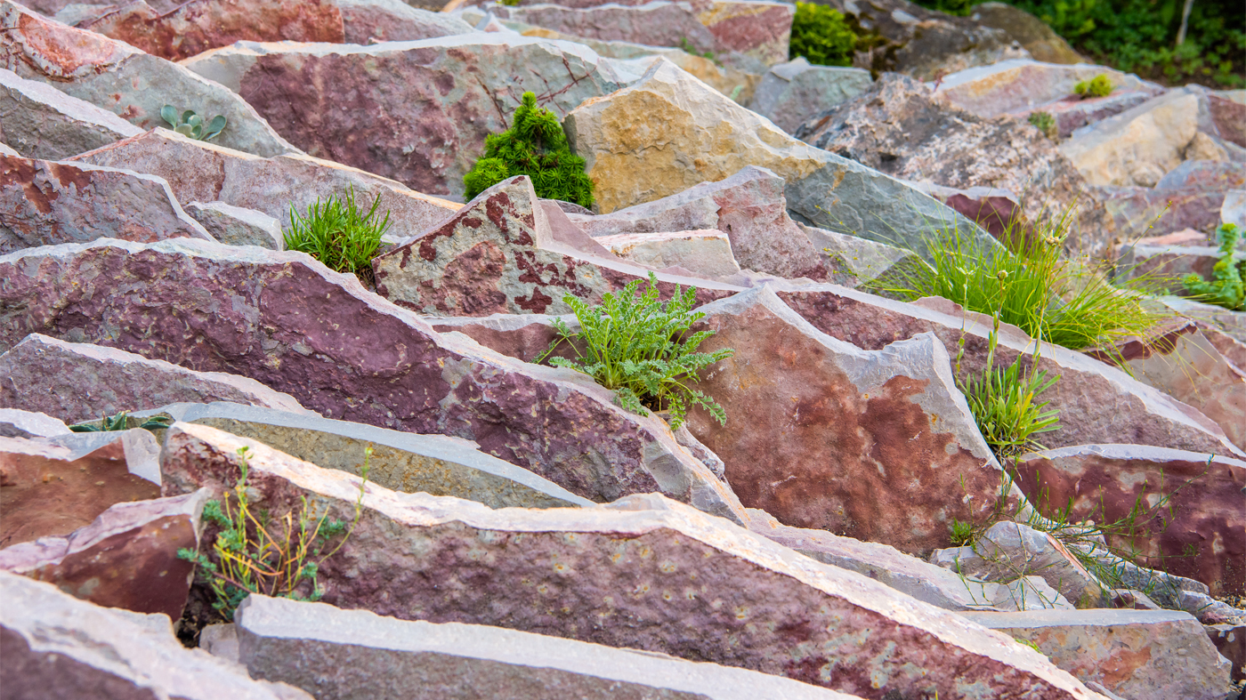 Farwell Landscape Garden