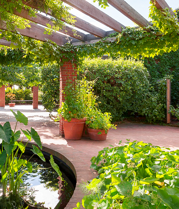 fruit and vegetable garden