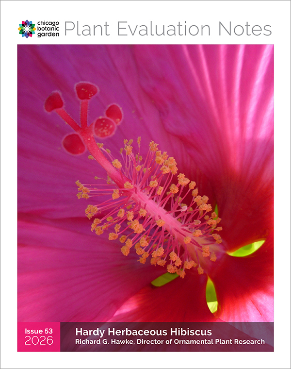 Hibiscus Plant Evaluation Notes
