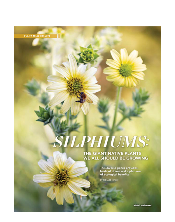 Fine Garden Magazine cover