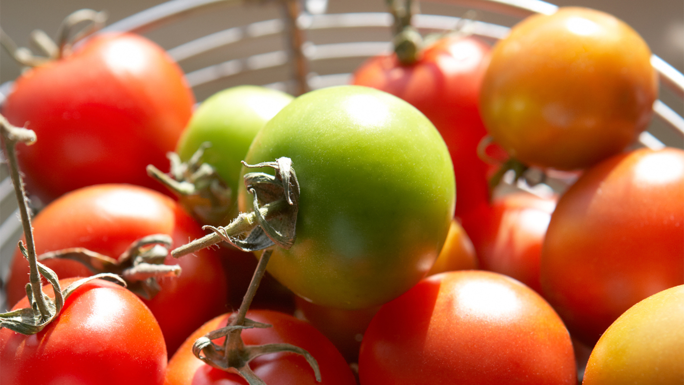 Tomatoes in a wire bowl