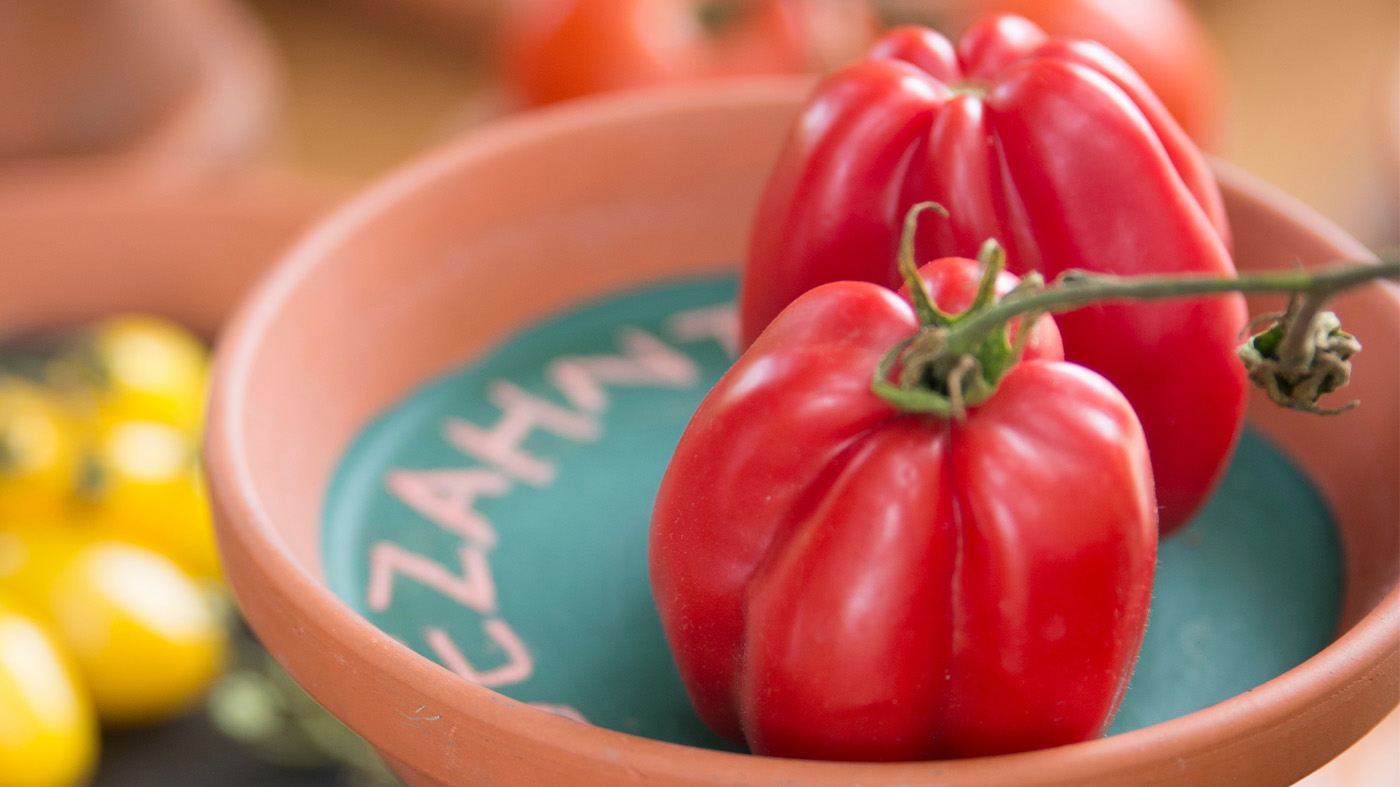 Lycopersicon esculentum 'Tiacolula-Pink'