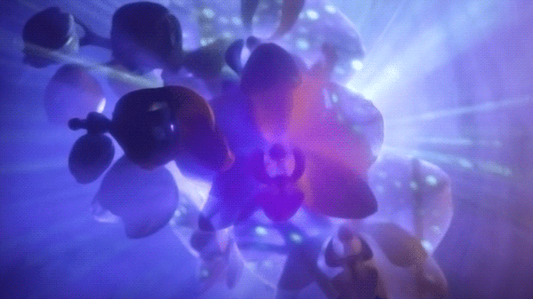 The Orchid Show: Feelin’ Groovy