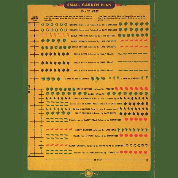 Vegetable Gardening in Wartime