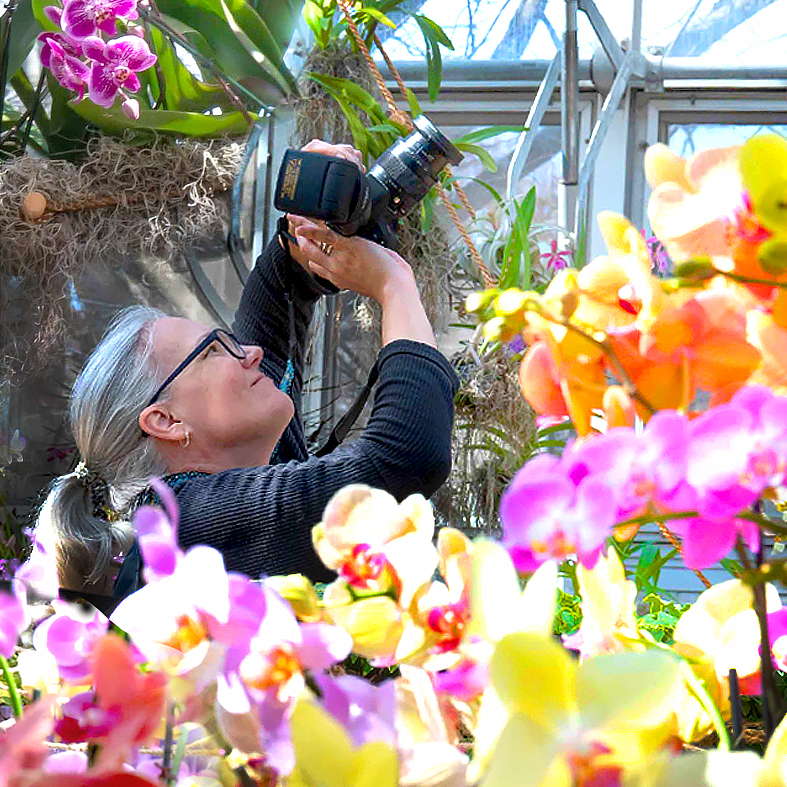 Photographers' Hours