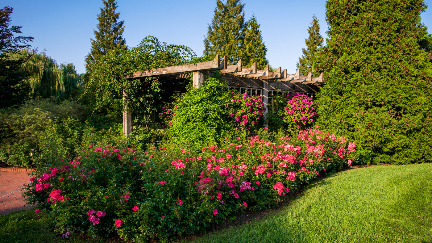 ChicagoBotanicGardenImage