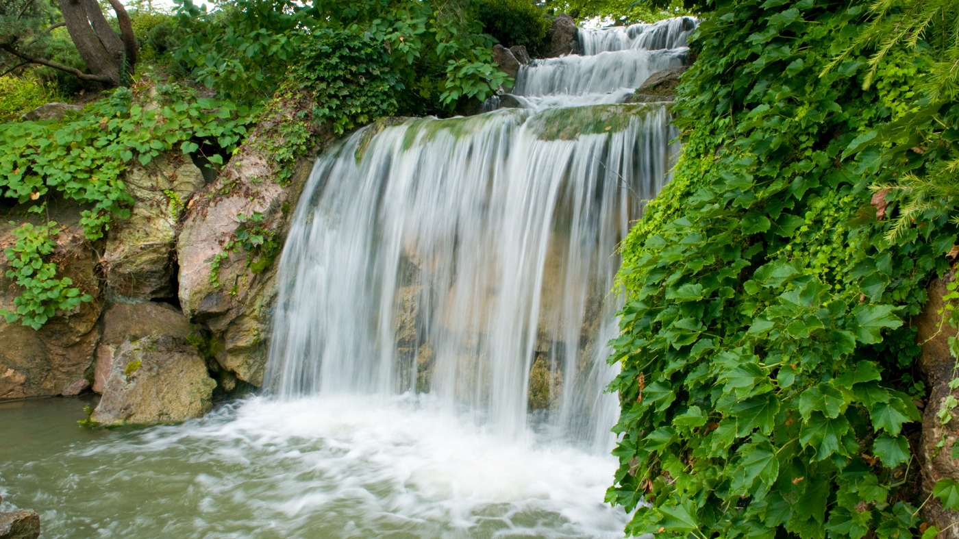 ChicagoBotanicGardenImage