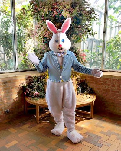 Easter Brunch – Easter Bunny
