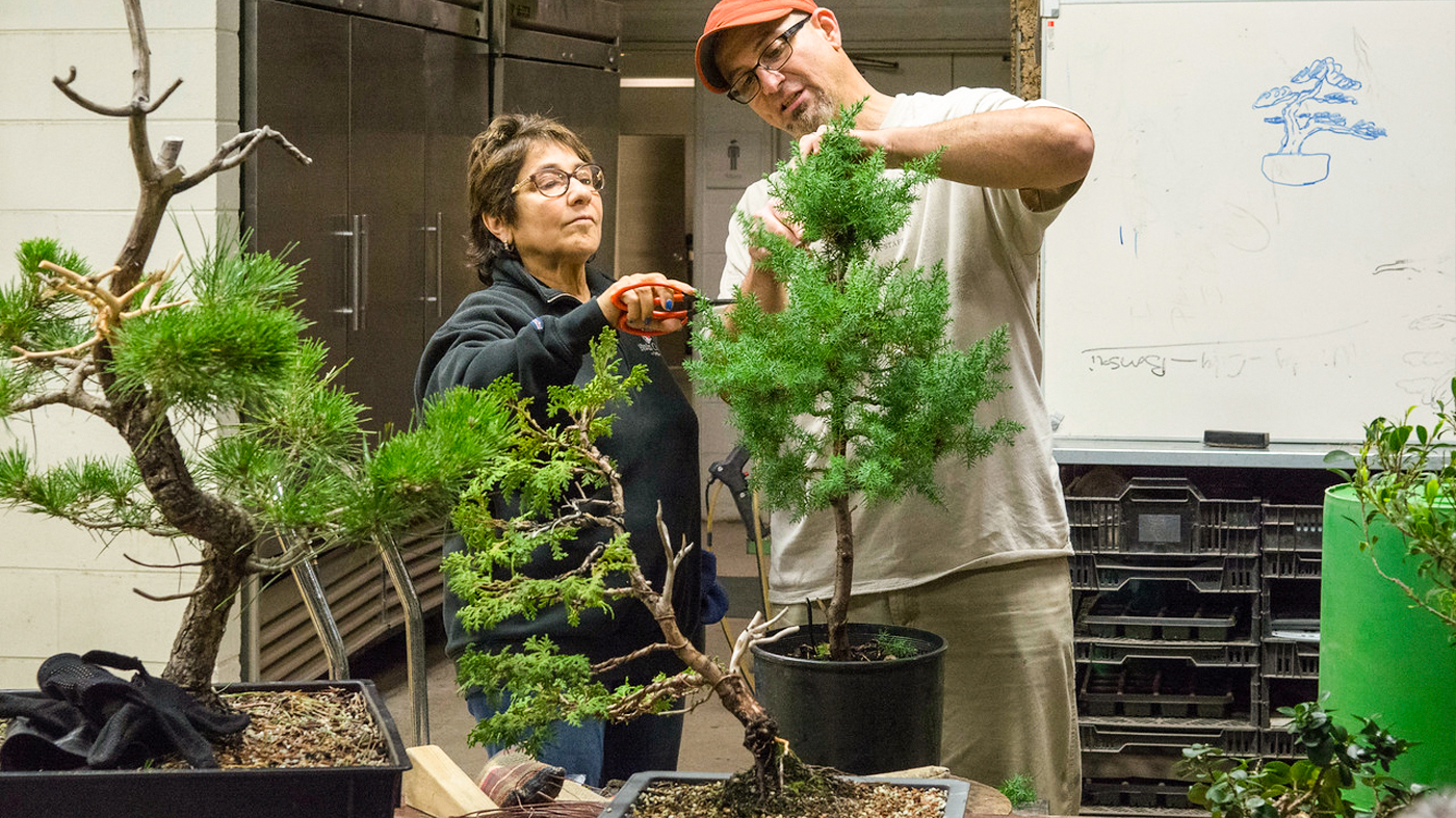 ChicagoBotanicGardenImage