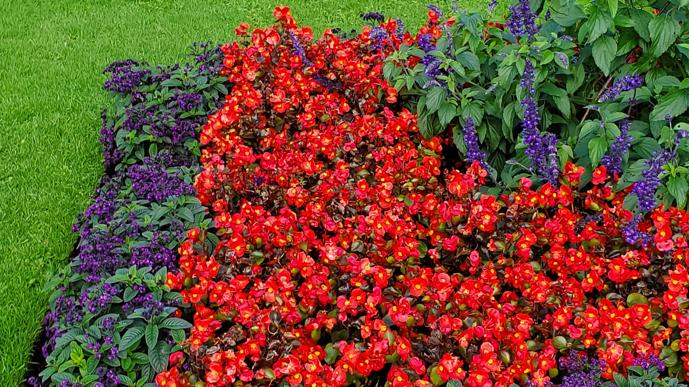 ChicagoBotanicGardenImage