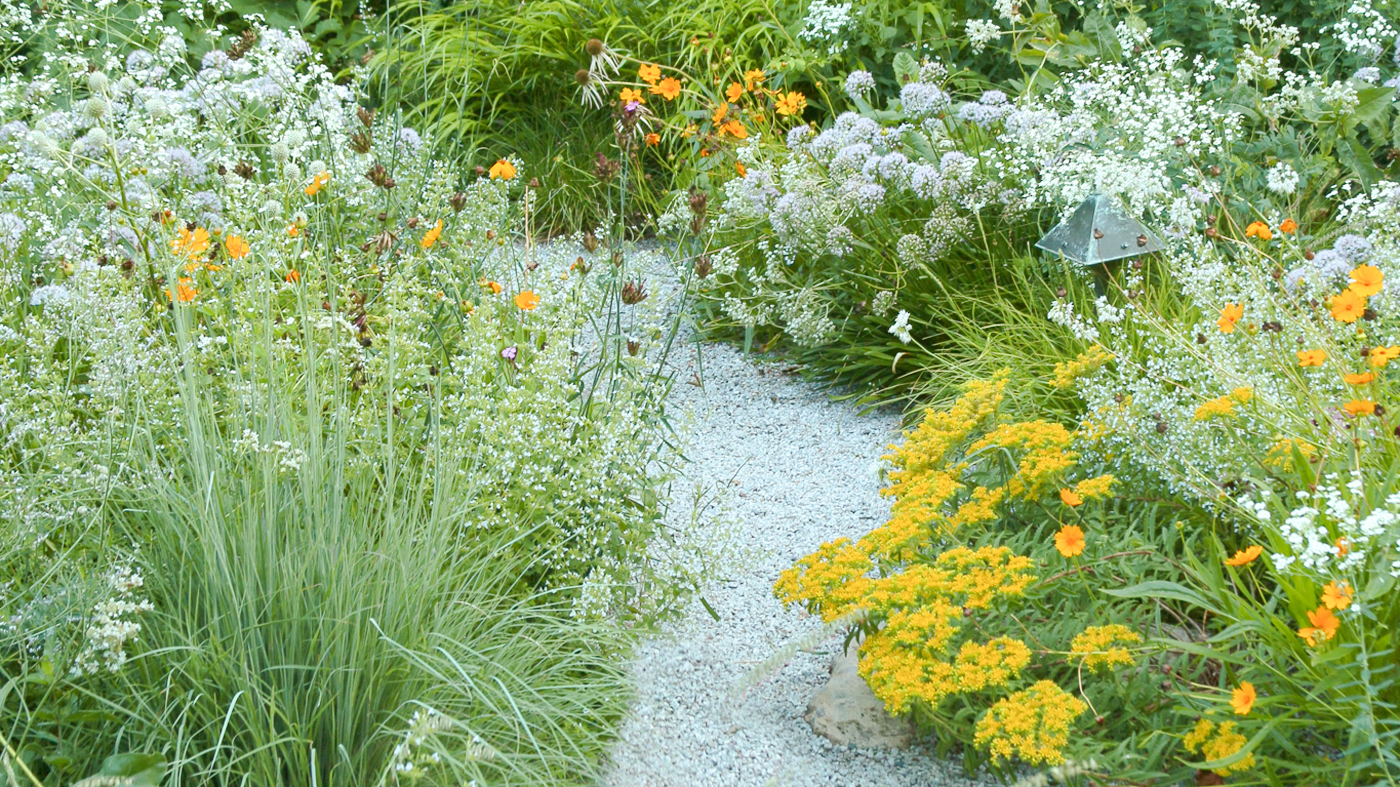 ChicagoBotanicGardenImage