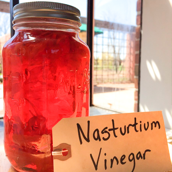 nasturtium-vinegar