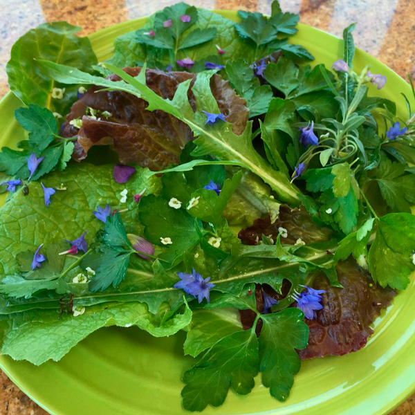 salad with flowers