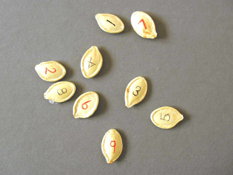 pumpkin-number-game