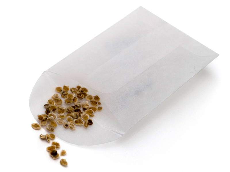 seed packet
