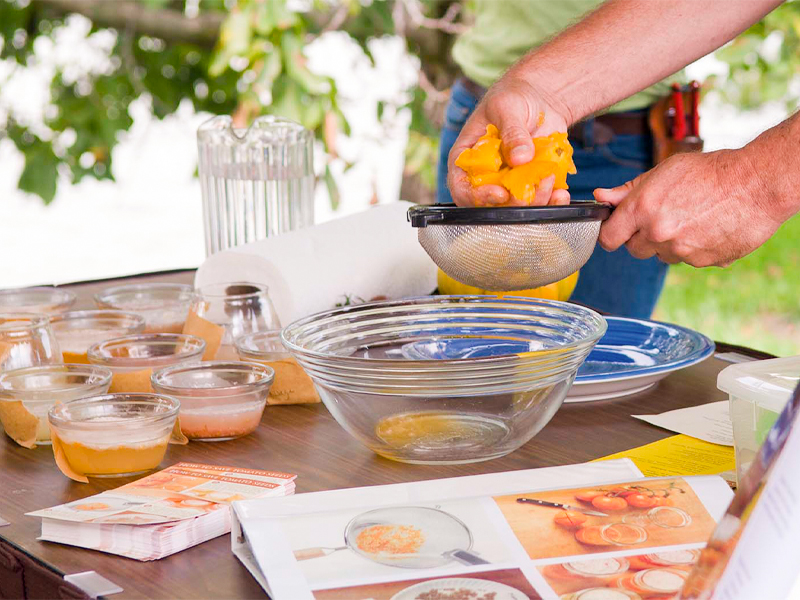 removing tomato seeds