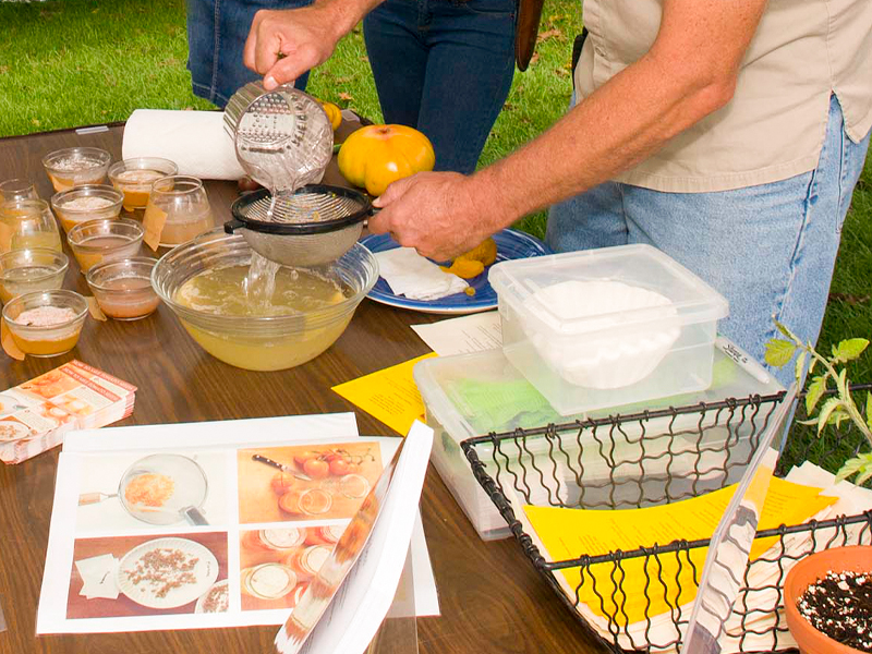 tomato seed straining