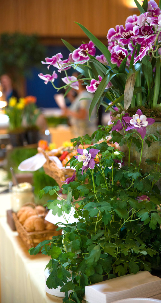 Mother's Day Brunch