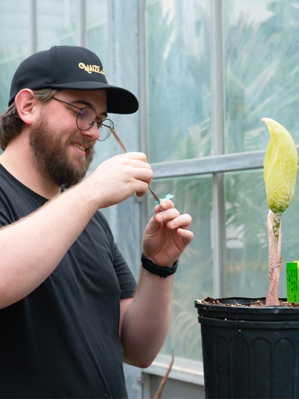 collecting crops pollen