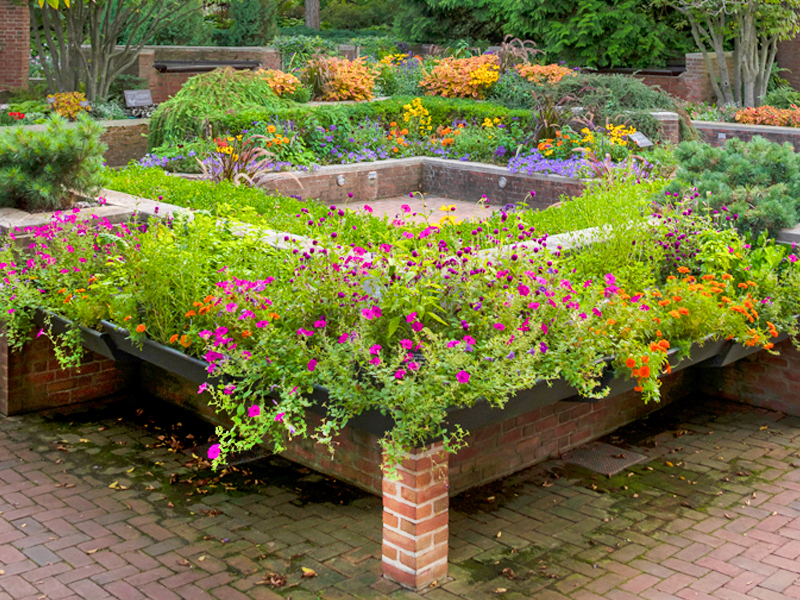 enable garden