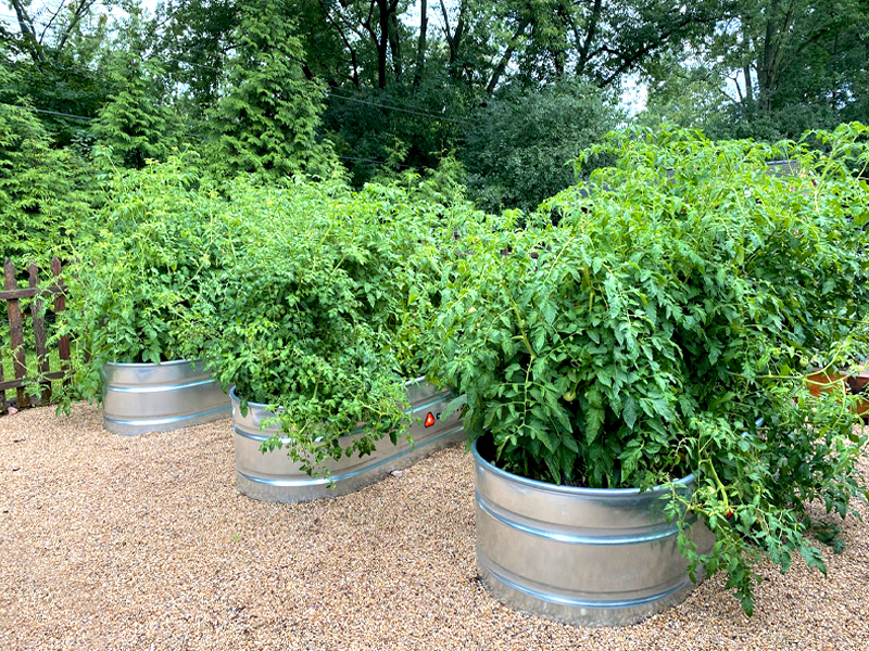 metal raised beds