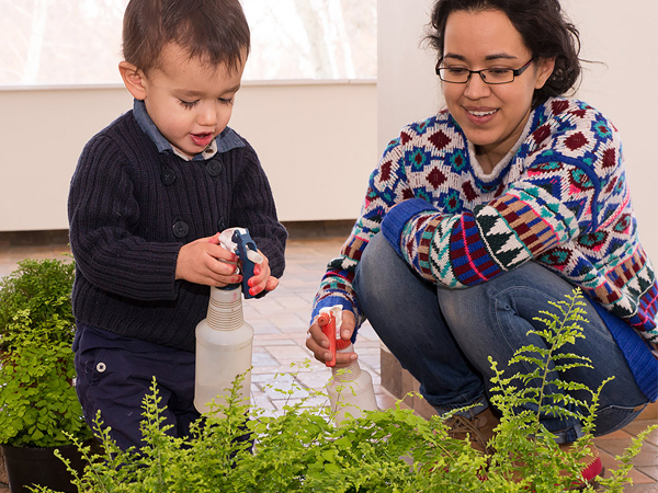 child watering fern