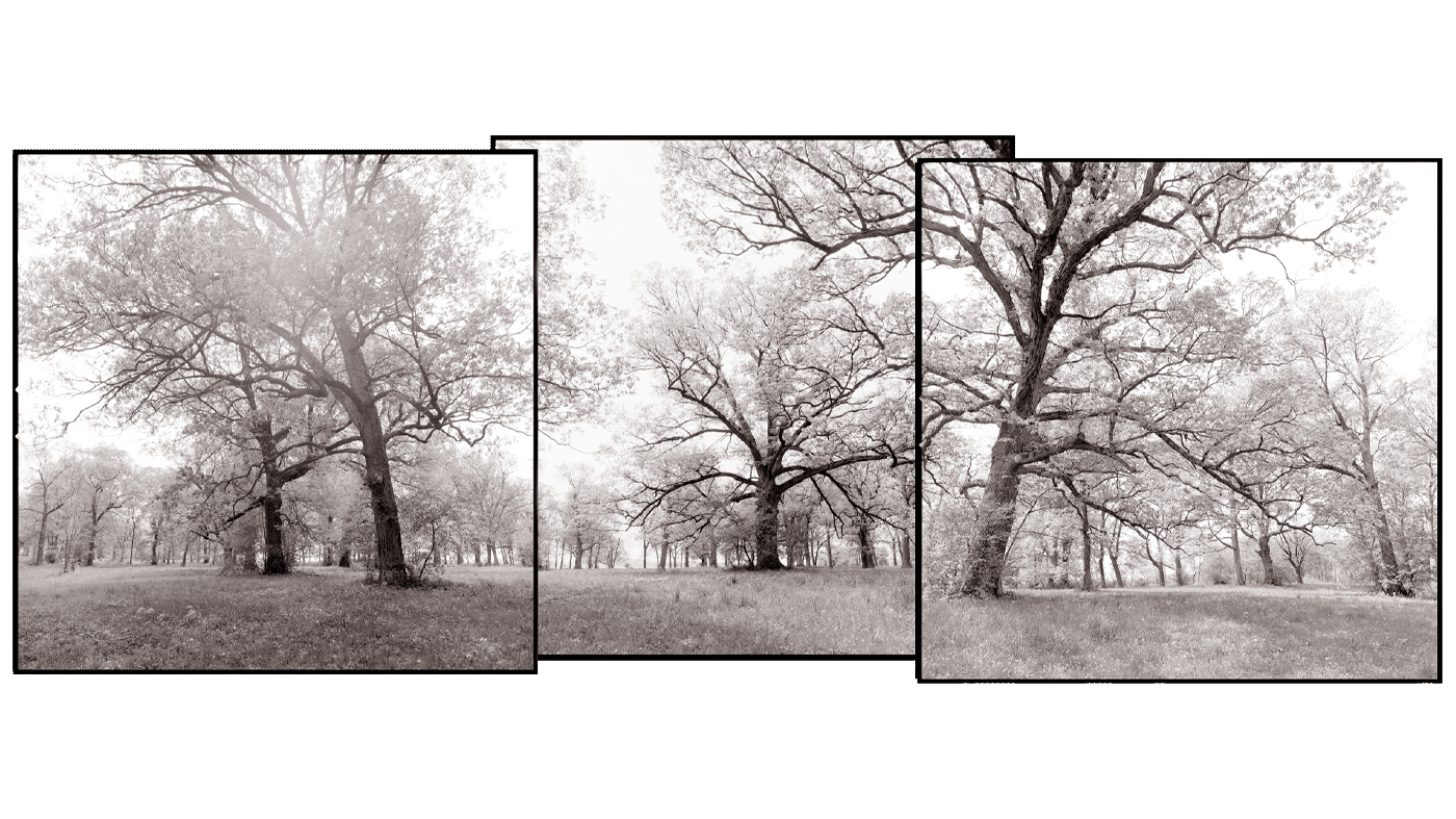 Lost & Found – Miles Lowry
