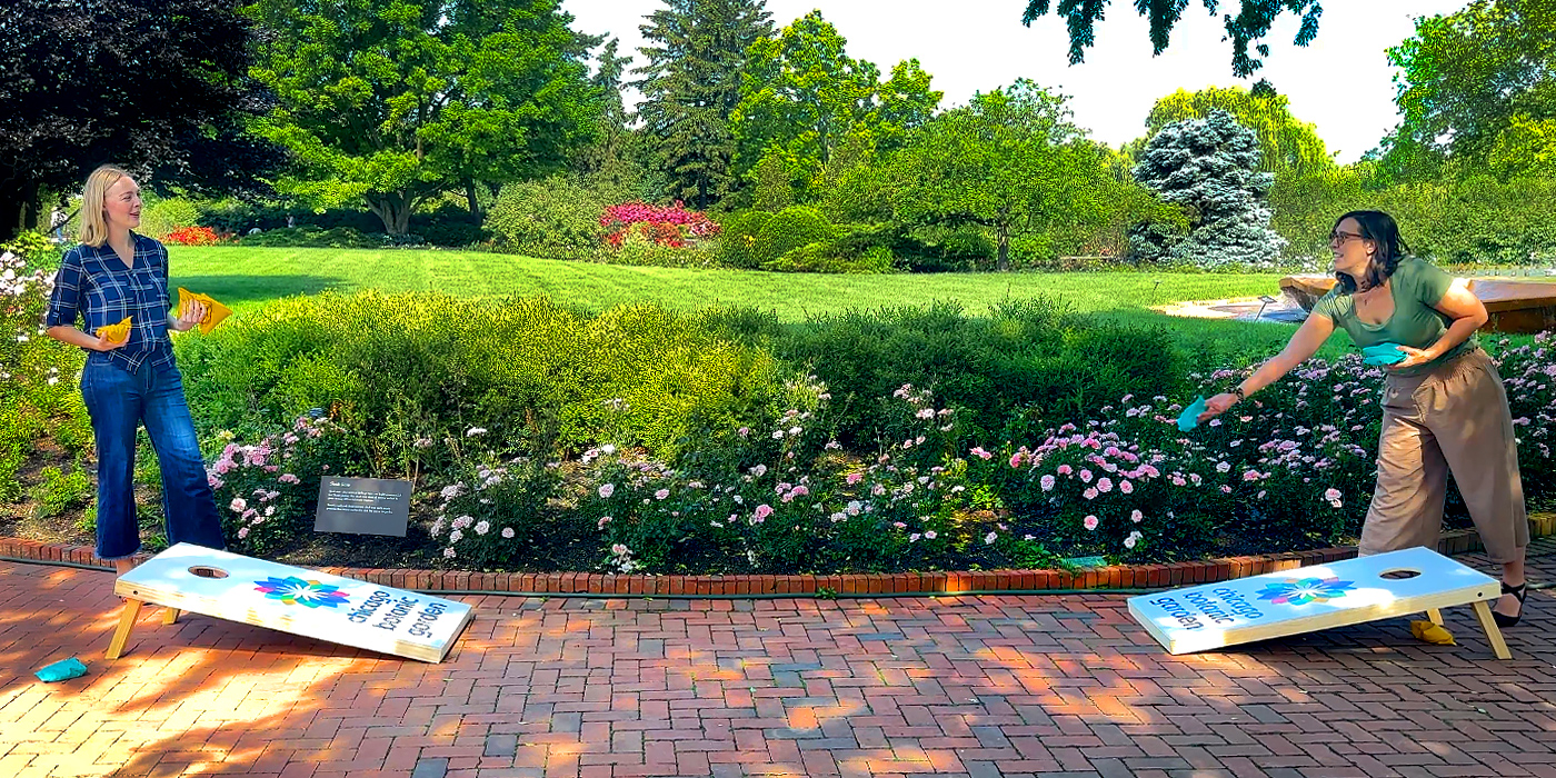 Garden Game Nights at the Rose Garden