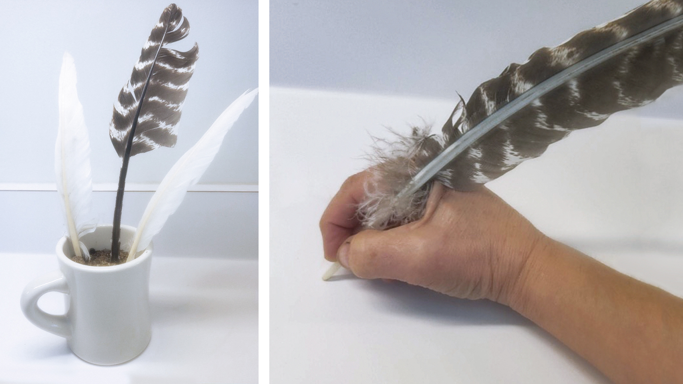 balancing quill