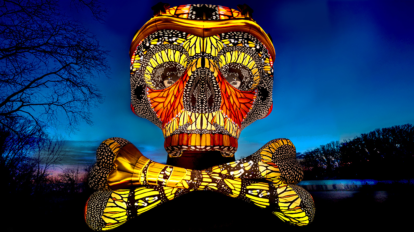 Monarch Skull