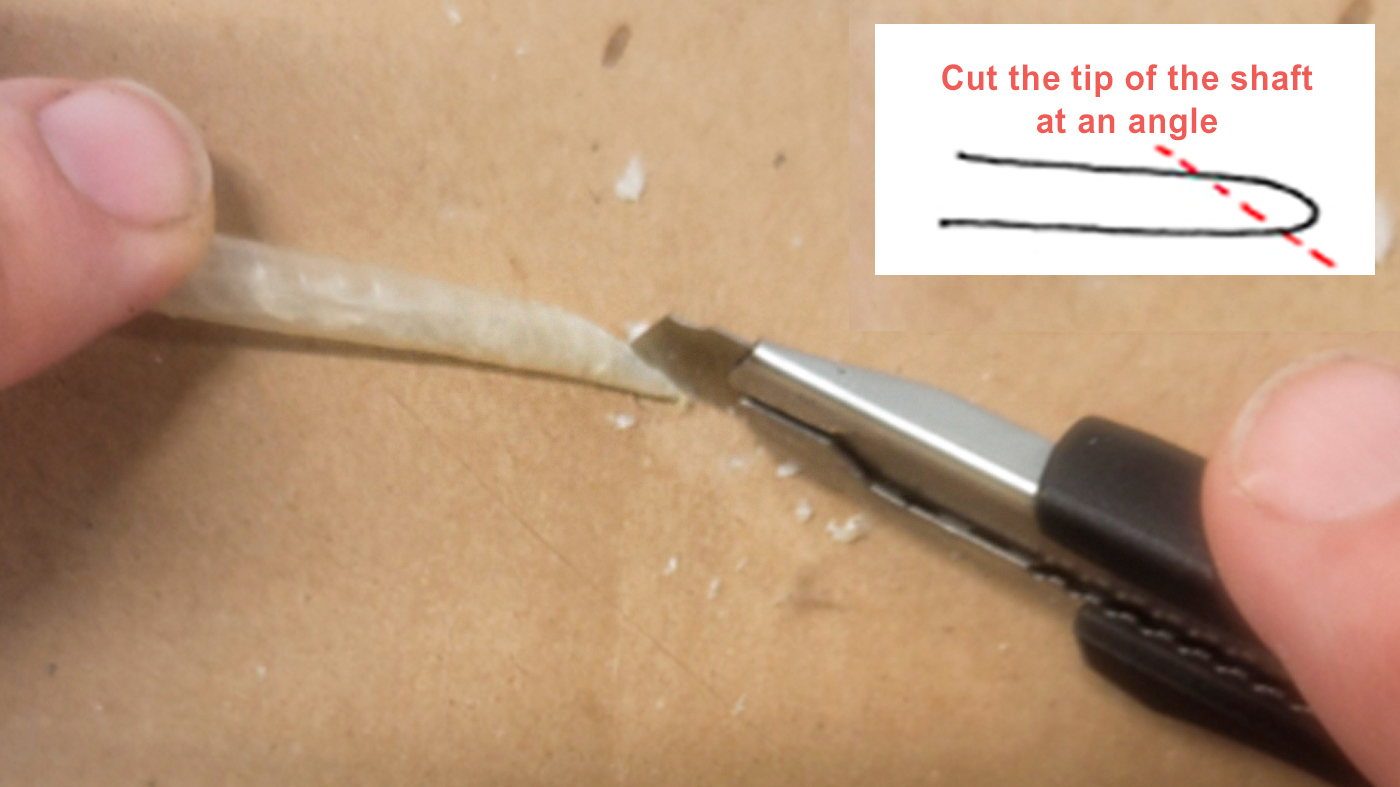 cut the tip of the quill shaft at an angle