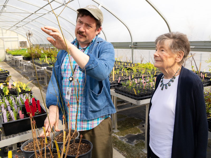 Adam Dooling showing Sally the saplings growing from root cuttings of her plants