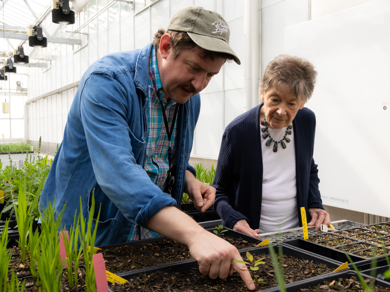 Adam Dooling shows Sally the sassafras seedlings.